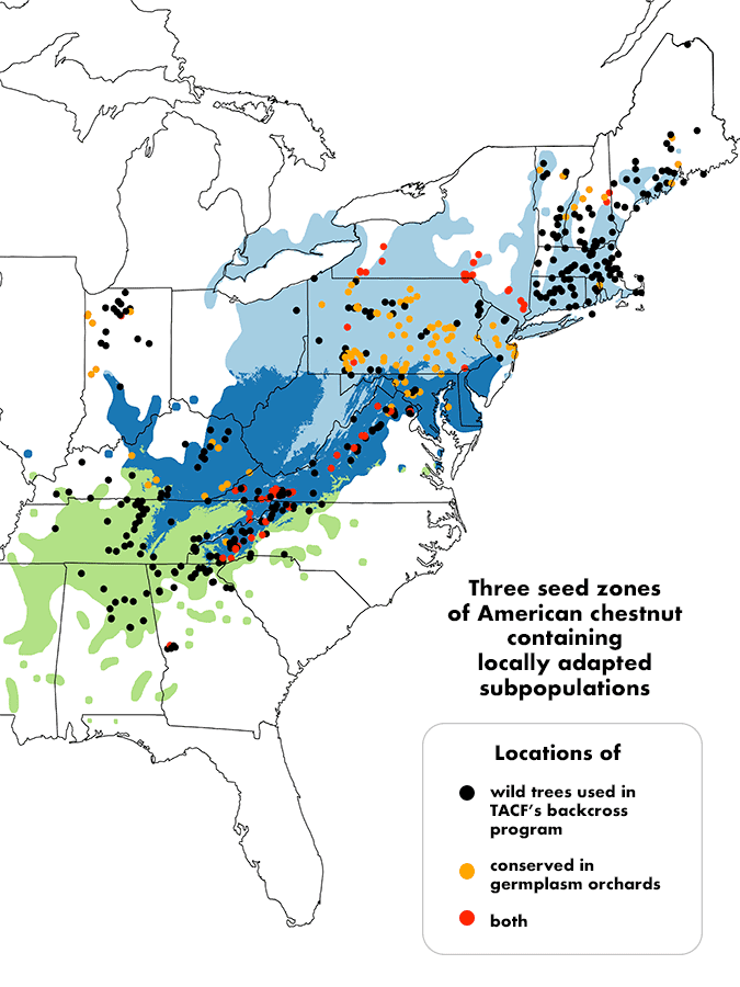 Zones of locally adapted American Chestnut subpopulations