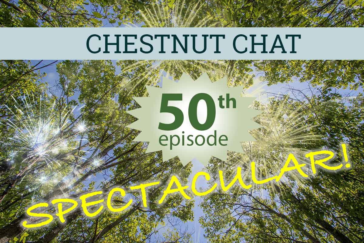 Chestnut Chat 50th Episode Spectacular