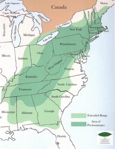 American chestnut native range map