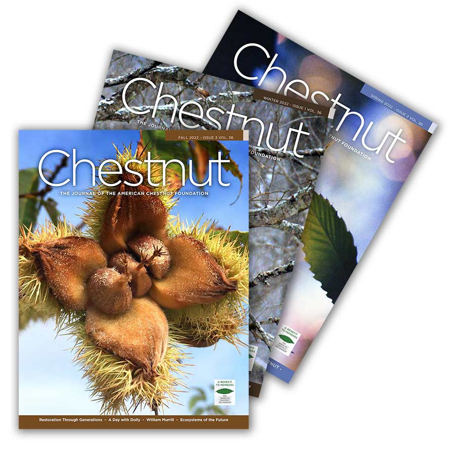 Chestnut magazine covers