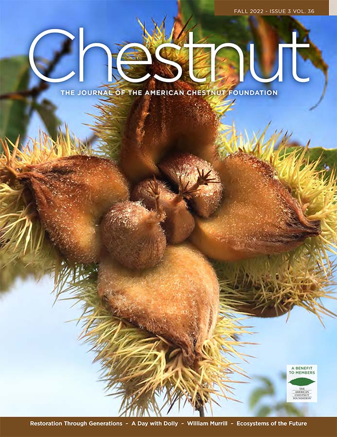 Chestnut Magazine cover, Fall 2022