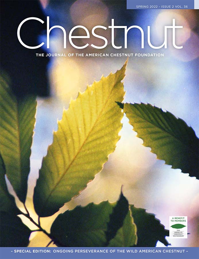 Chestnut Magazine cover, Spring 2022