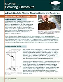 How to Grow Chestnuts fact sheet cover