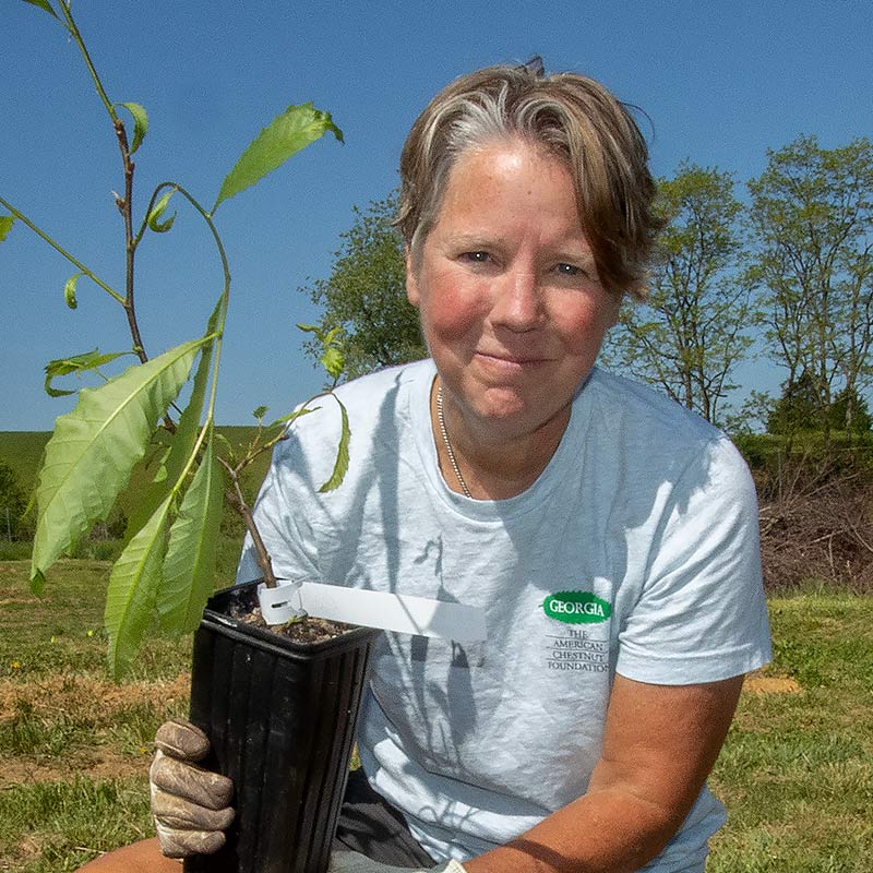 Jules Smith, Director of Communications at The American Chestnut Foundation