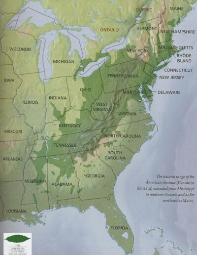 Native range map of the American chestnut