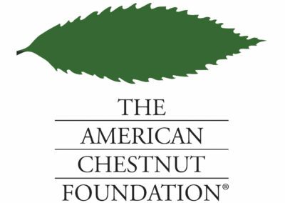 The American Chestnut Foundation logo