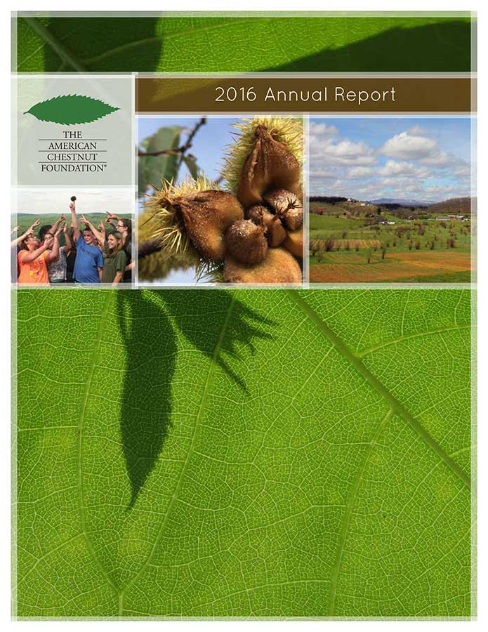 2016 TACF Annual Report cover