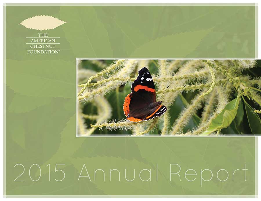 2015 TACF Annual Report cover
