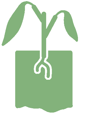 chestnut seedling in ground icon