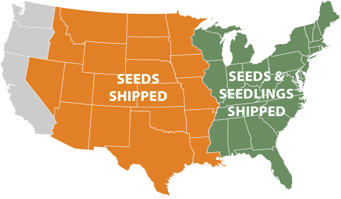 Chestnut seeds and seedlings shipping map from The American Chestnut Foundation