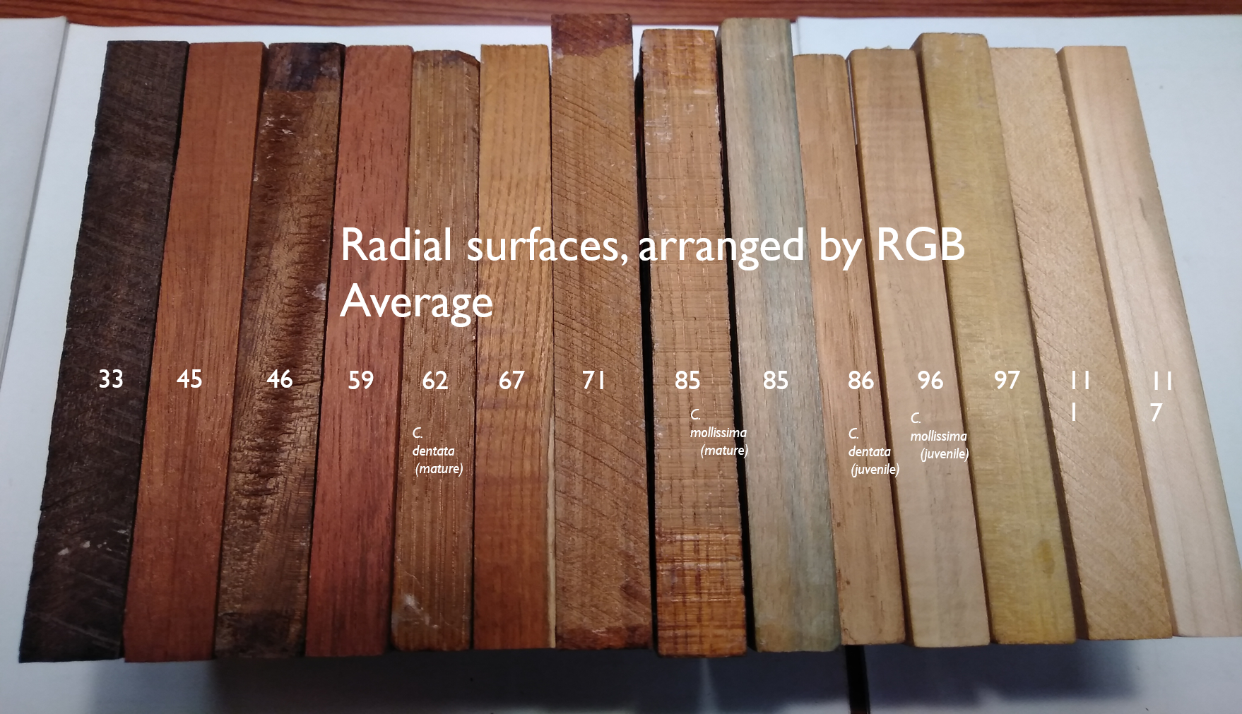 wood arranged by RGD average